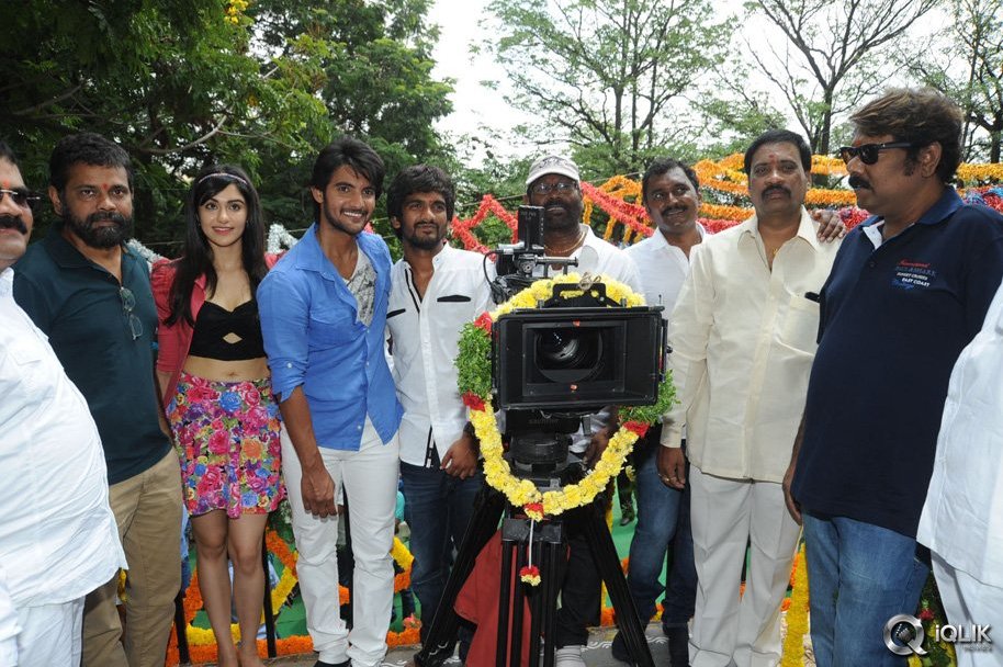 Garam-Movie-Opening-Photos